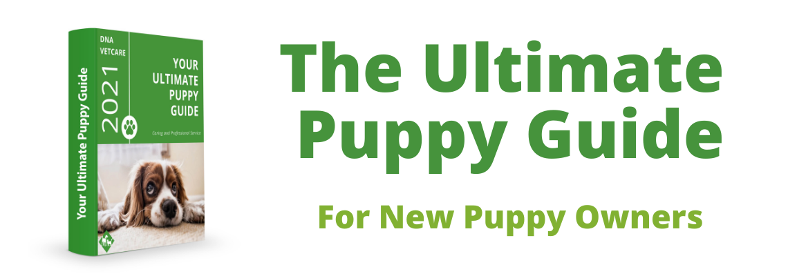 ultimate puppy guide header