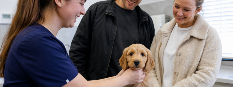 Socialising Your Puppy at Epsom Common